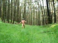 Forest walk 